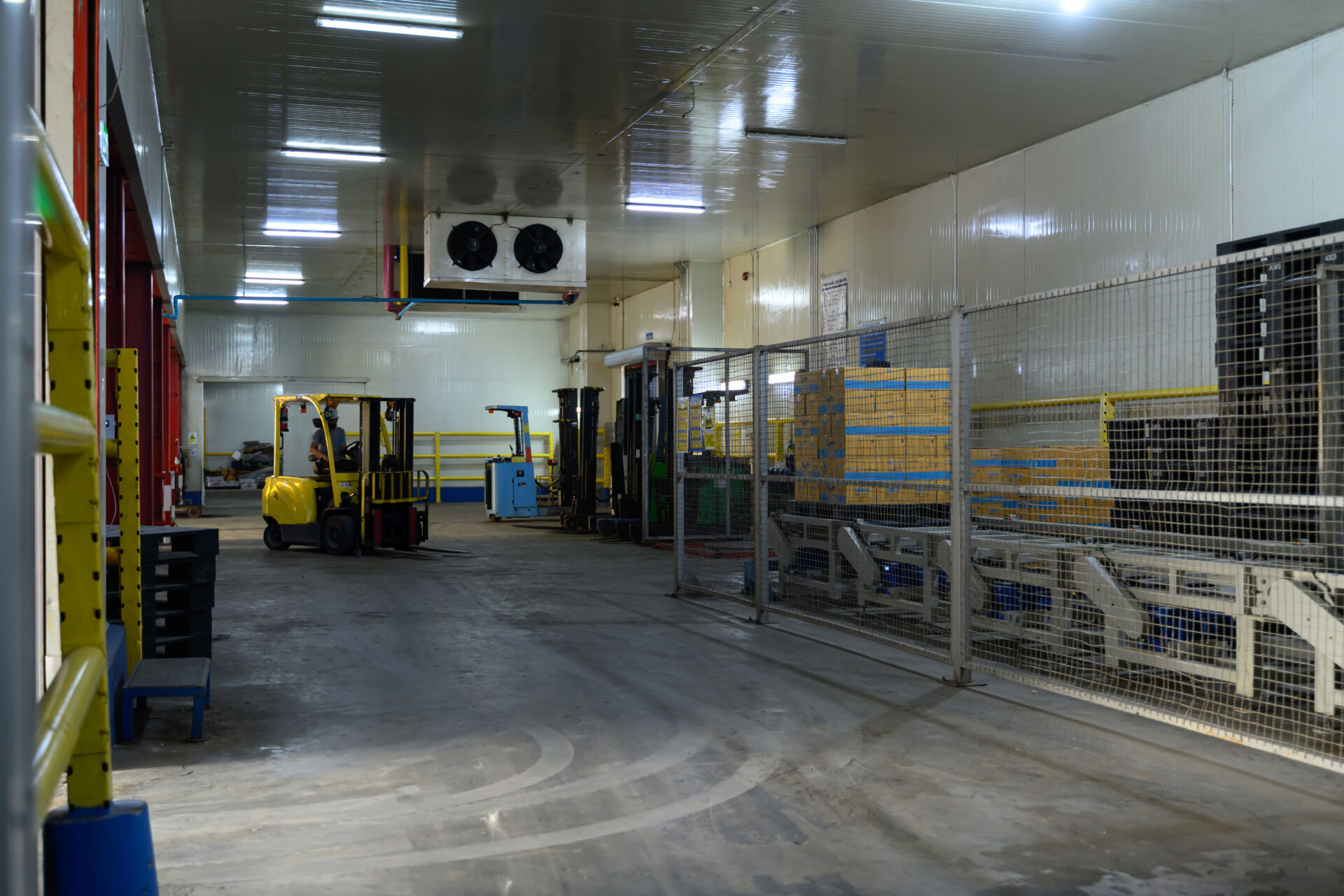 Coldcase industrial refrigeration storage area, showing forklifts, conveyer systems and stacked boxes on pallets