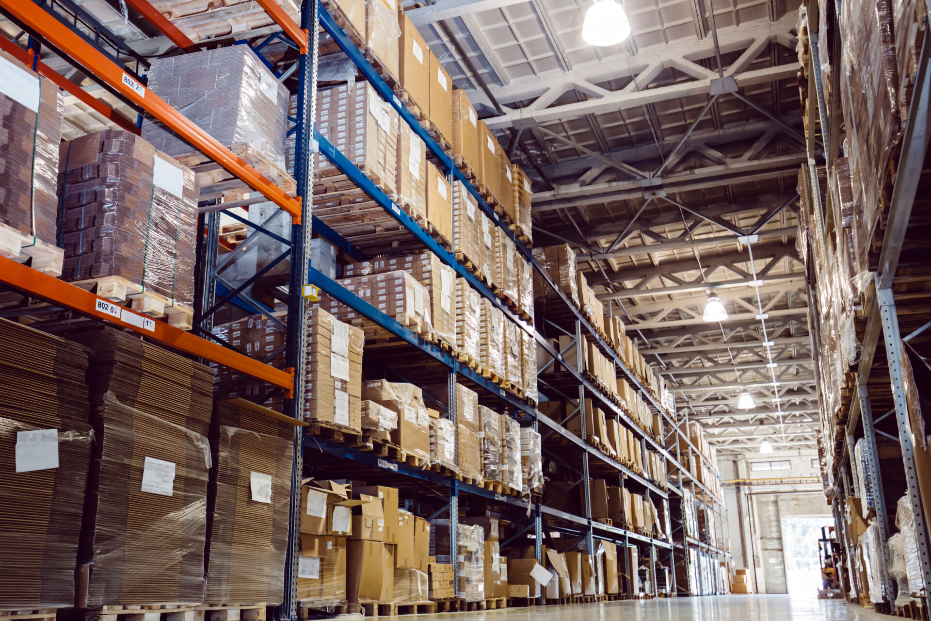 Coldcase warehouse logistics area with pallet racking and stored goods