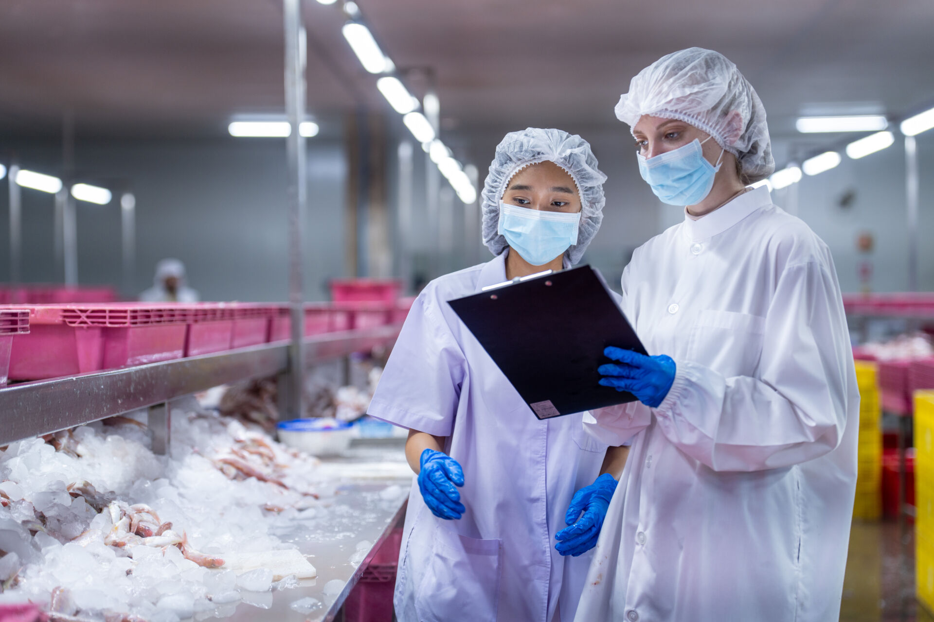 Coldcase chilled seafood processing area with workers inspecting products on ice